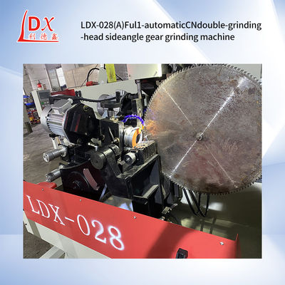 Volledig CNC zaagblad Dubbel slijpkop Side Angle Slijpmachine LDX-028A
